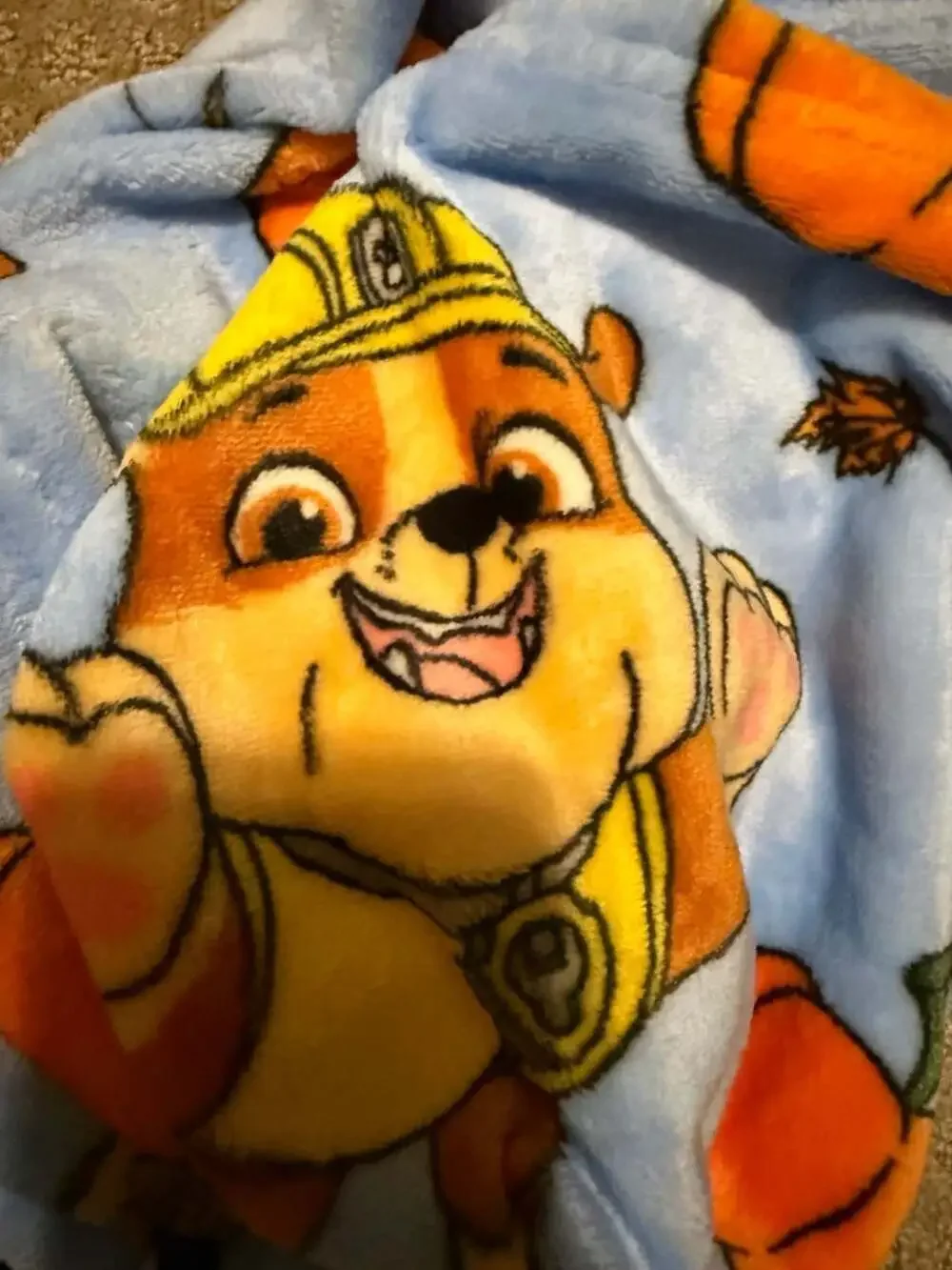Paw Patrol Fall Frenzy Silk Touch Throw Blanket 40in x 50in